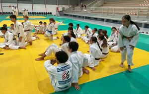 Collectif minimes