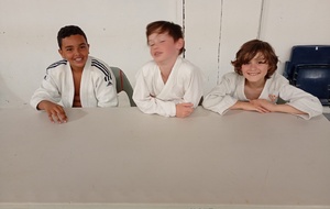 Stage Ecole Arbitrage et Collectif Benjamin