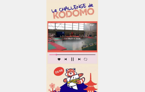 Animation KODOMO - Places limits - ement Spial Poussins (2016 / 2017)  De 10h30 11h30