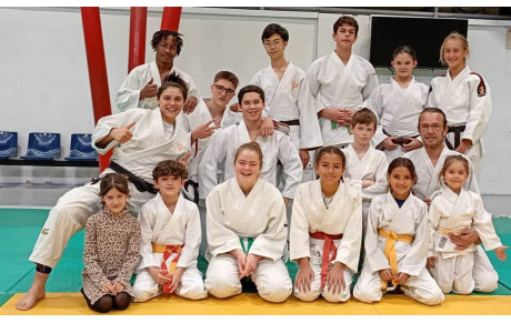 Stage d'arbitrage et UV4 grade - Judokas nés 2015 et avant