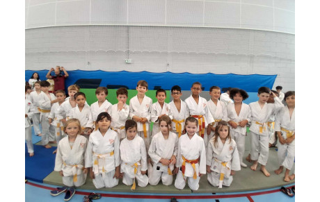 Amicale de Coeur Lauragais
